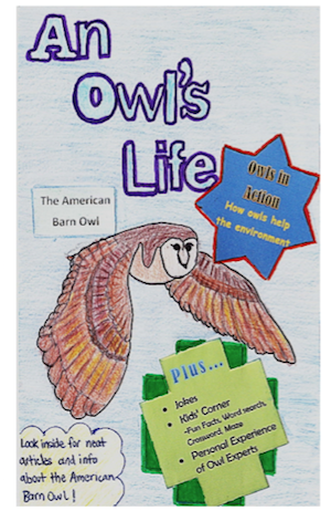 Barn Owl Booklet