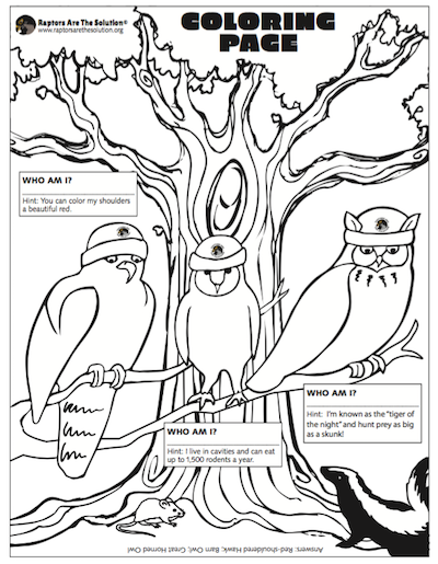 birds in beanies coloring poster