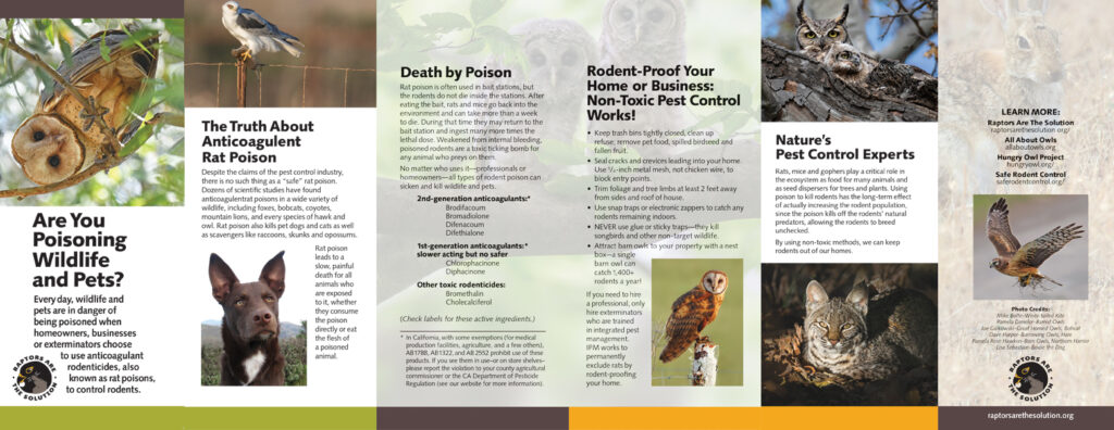 RATS brochure thumbnail